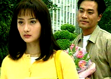 台湾百合