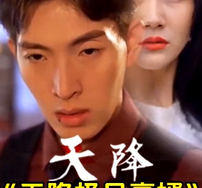 天降极品豪婿