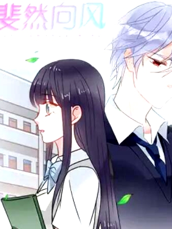 斐然向风